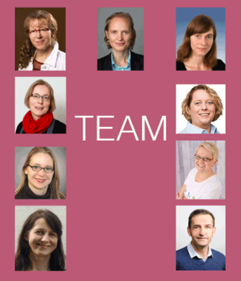 das Team von SHIA e.V.